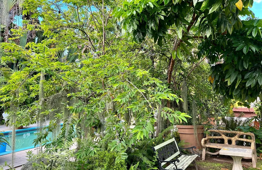 Orchid Cottage-1
