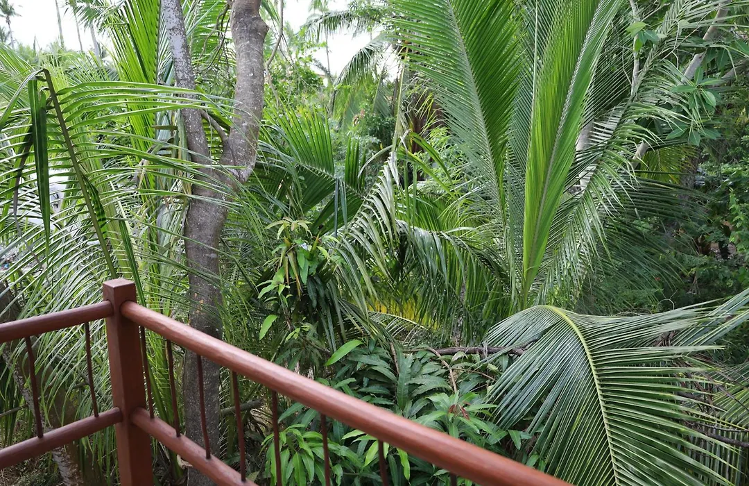 Solez Zihuatanejo-1