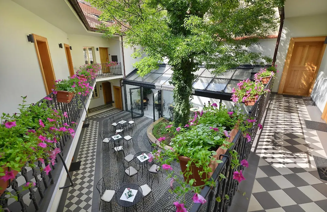 Hotel At The White Lily-1