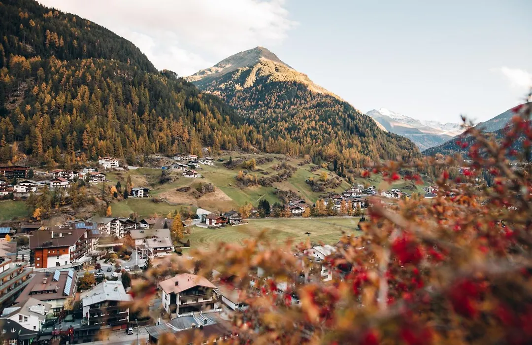Rustica Alpine B&B-1