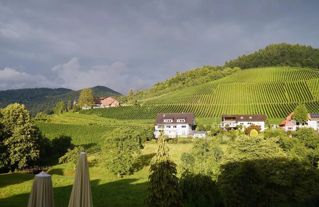 Hotel Faxe Schwarzwälder Hof-1