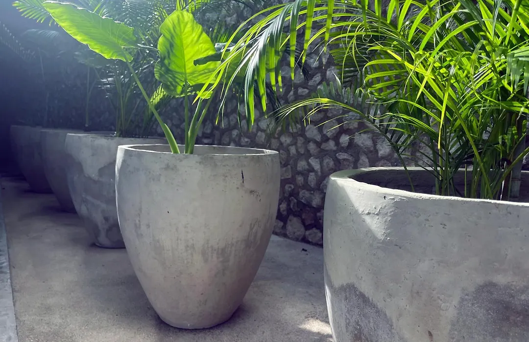 Bau Tulum-1