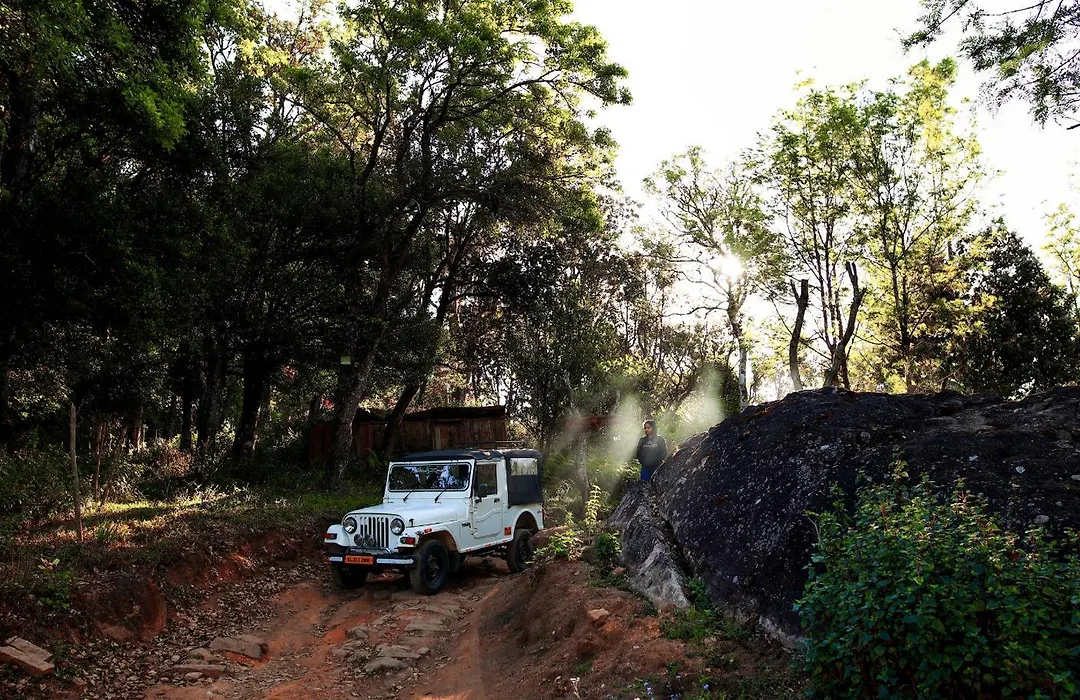 Nature Zone Munnar - A Real Jungle Resort - Authentic Tree House And Premium Tents-1