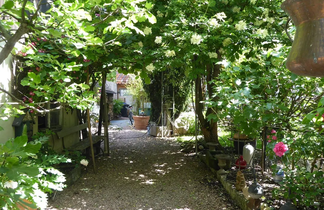 Pension Zur Rose-1