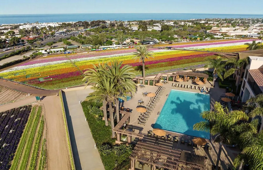 The Cassara Carlsbad, Tapestry Collection By Hilton-1