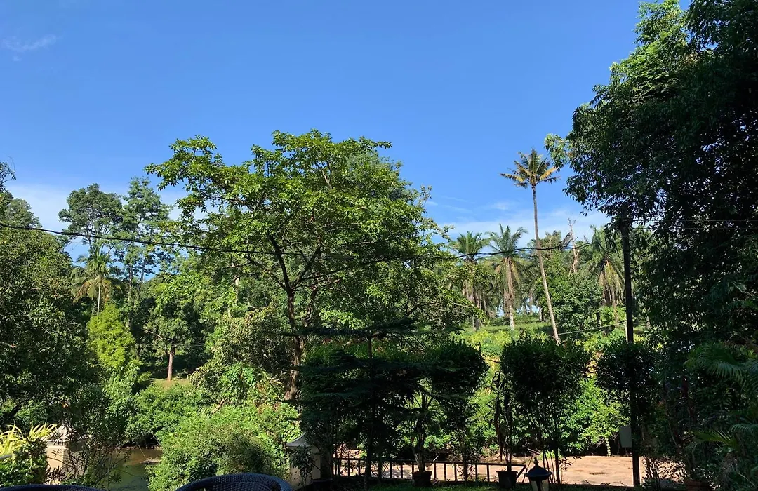 Athirapilly On The Rocks-1