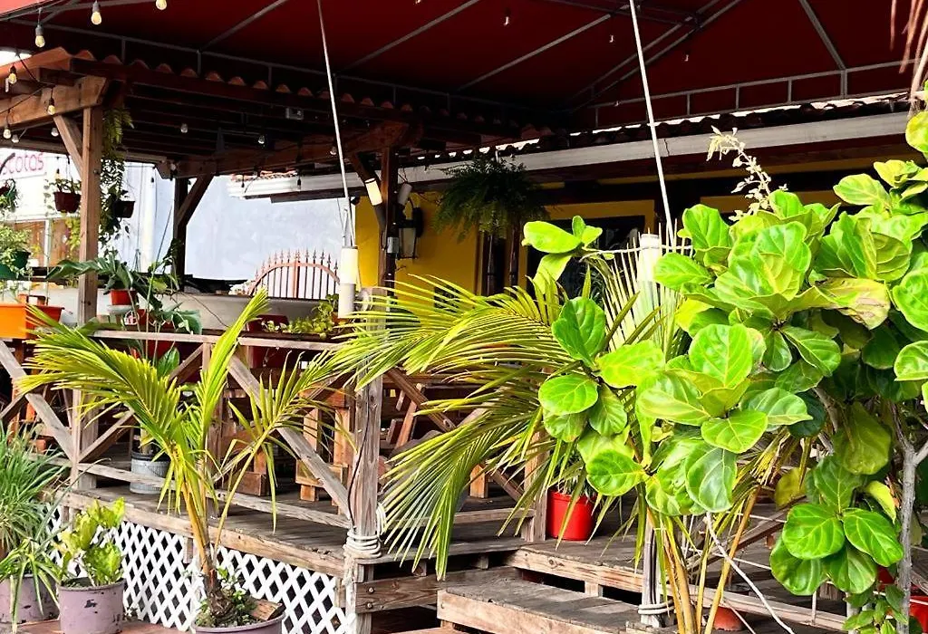 Panama House Bed & Breakfast-1