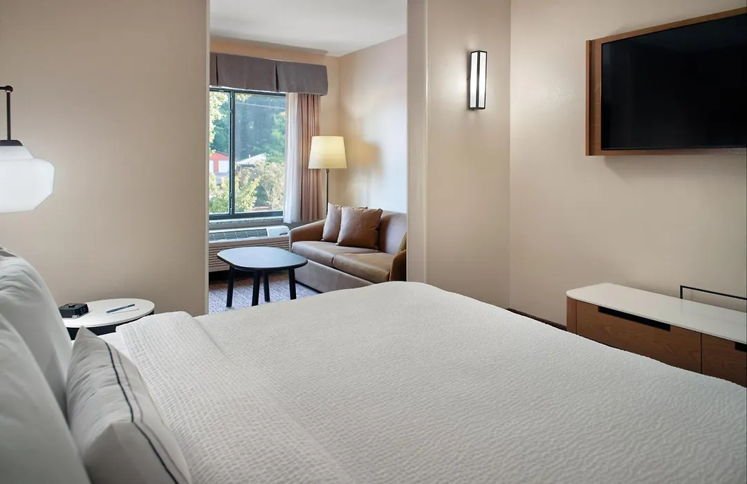 Fairfield Inn & Suites By Marriott Asheville Airport/Fletcher-1