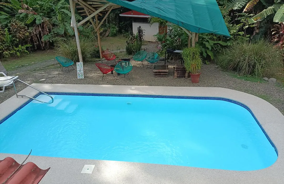 Selva Linda Lodge Jungle Wildlife Vue And Birdwatching-1