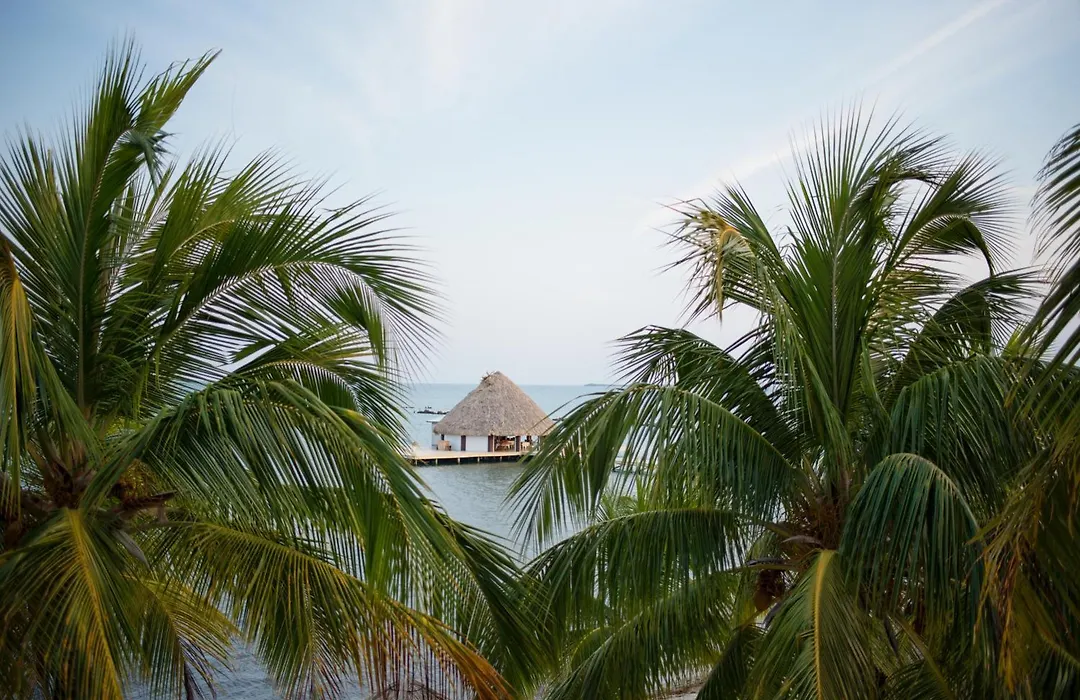 Placencia Resort-1