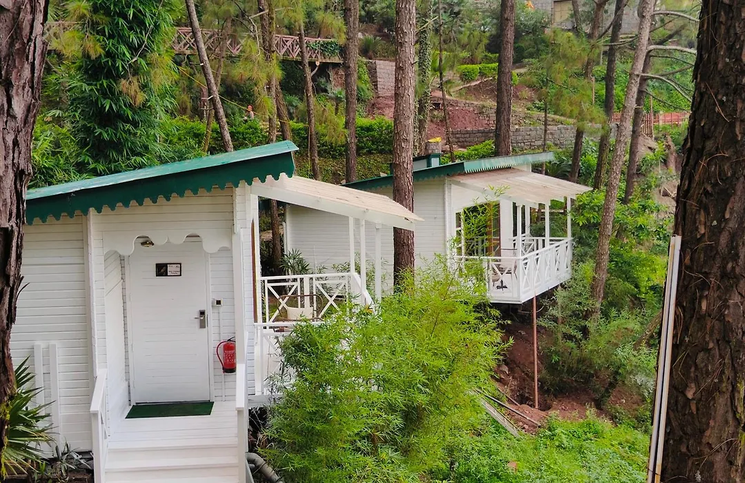 Kasauli Hills Resort-1