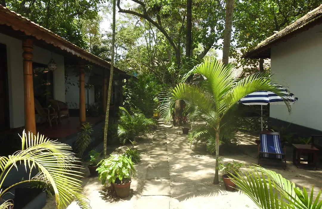 Alleppey Beach Garden-1