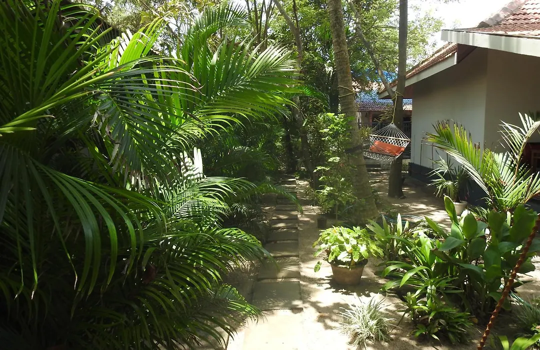 Alleppey Beach Garden-1