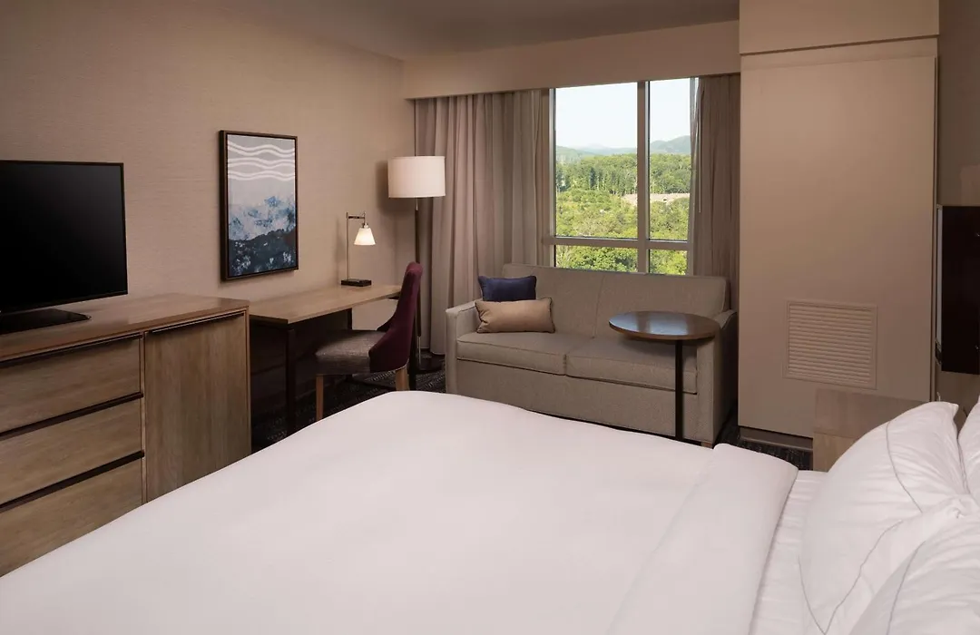Hilton Asheville Biltmore Park-1