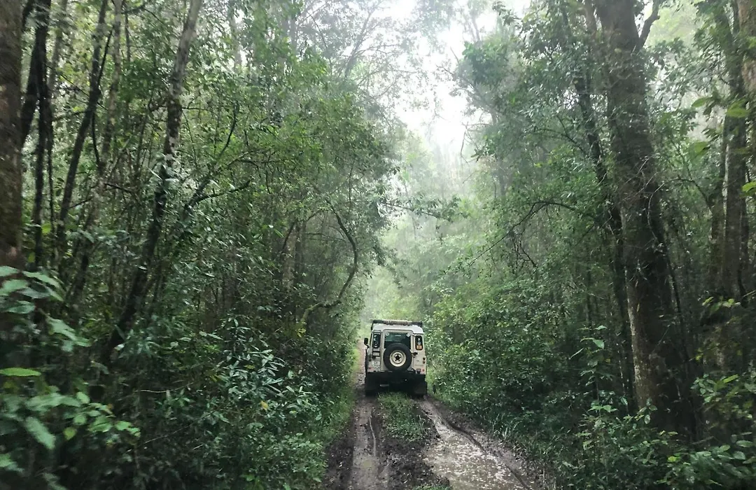 Tonquani - Knysna - Private Forest Retreat And Cottages-1