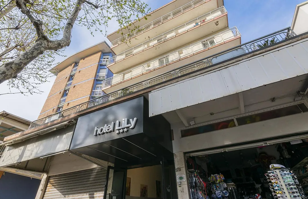 Hotel Lily-1