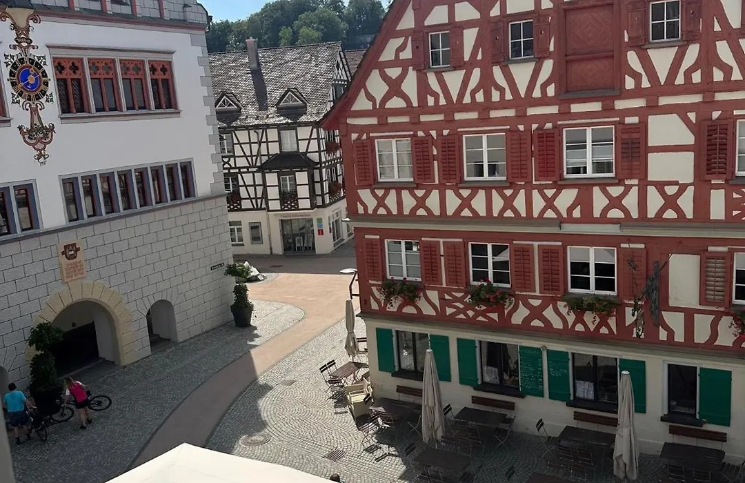 Hotel Restaurant Grüner Baum und Altes Tor-1