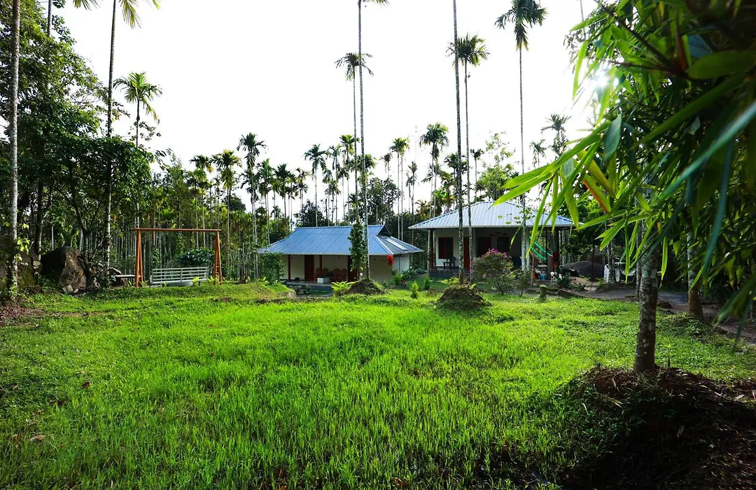 Cave Valley Wayanad-1