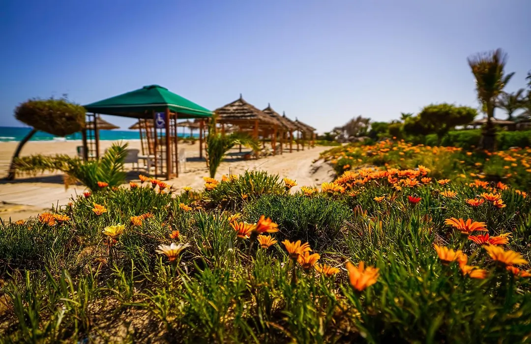 Hasdrubal Thalassa & Spa Yasmine Hammamet-1
