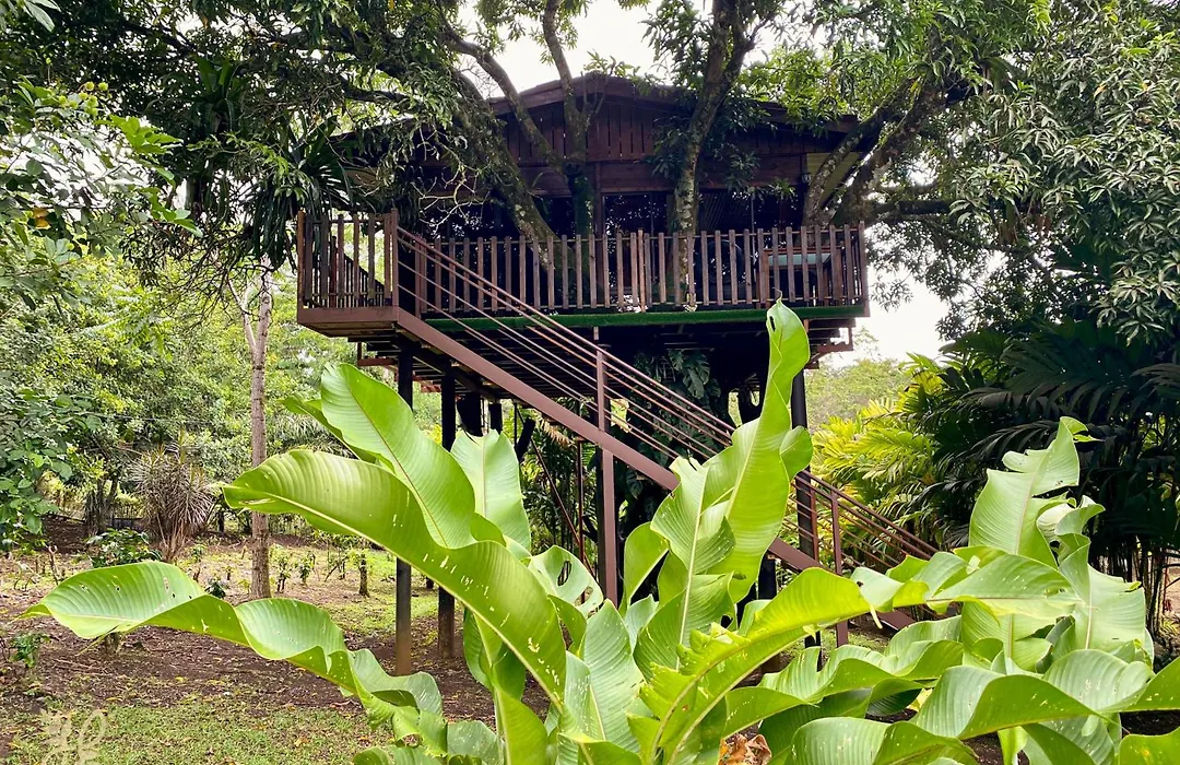 Hotel Heliconias Nature Inn & Hot Springs-1