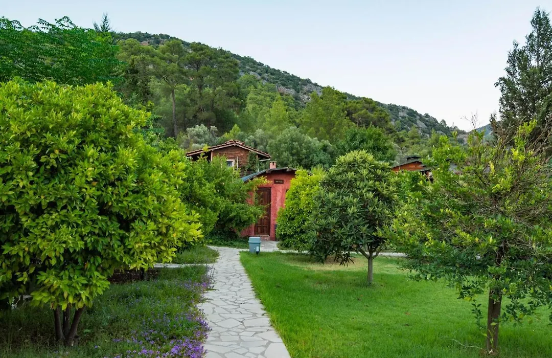 Simurg Evleri Olympos-1