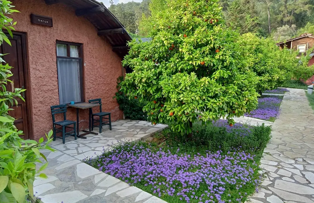 Simurg Evleri Olympos-1