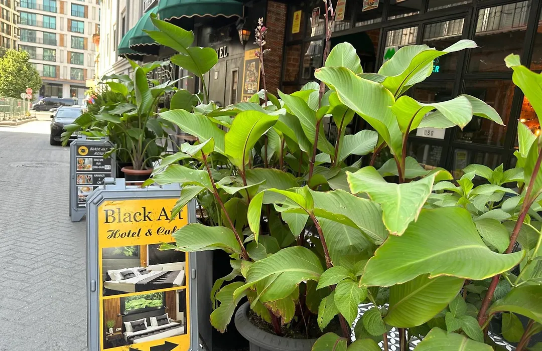 Black Art Otel-1