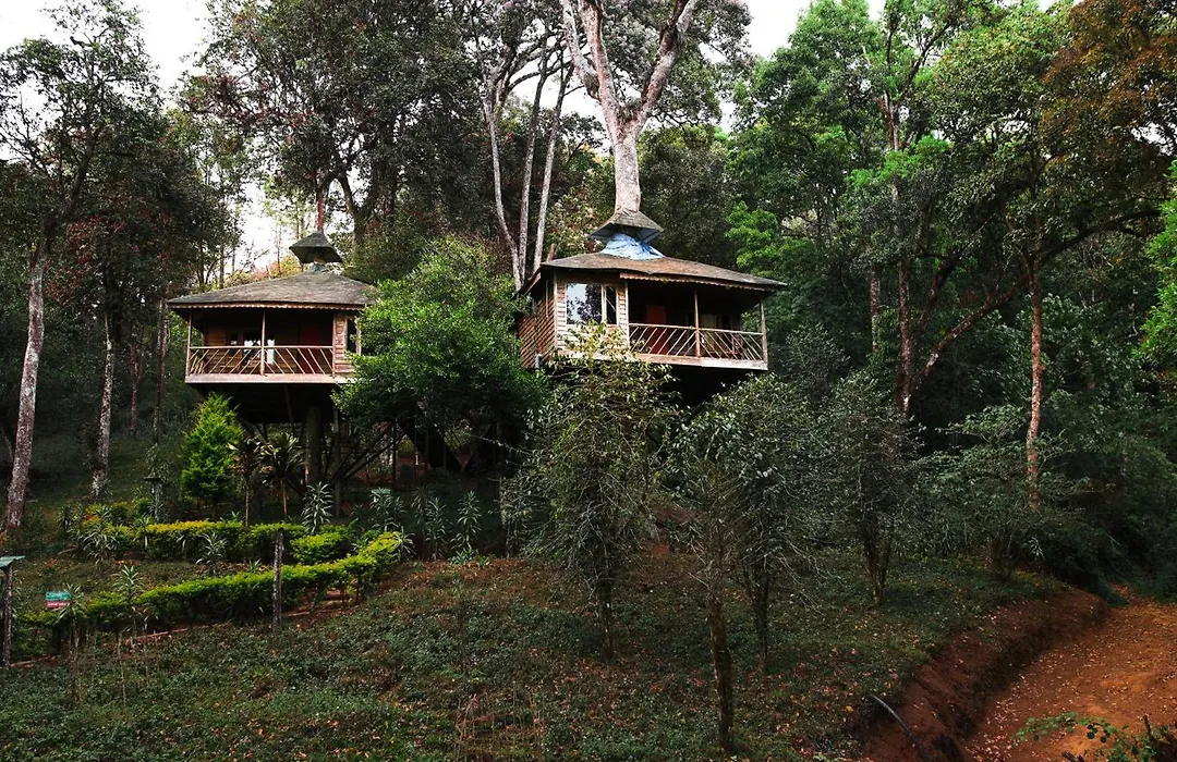 Nature Zone Resort Munnar - Tree House, Luxury Tents, Munnar-1