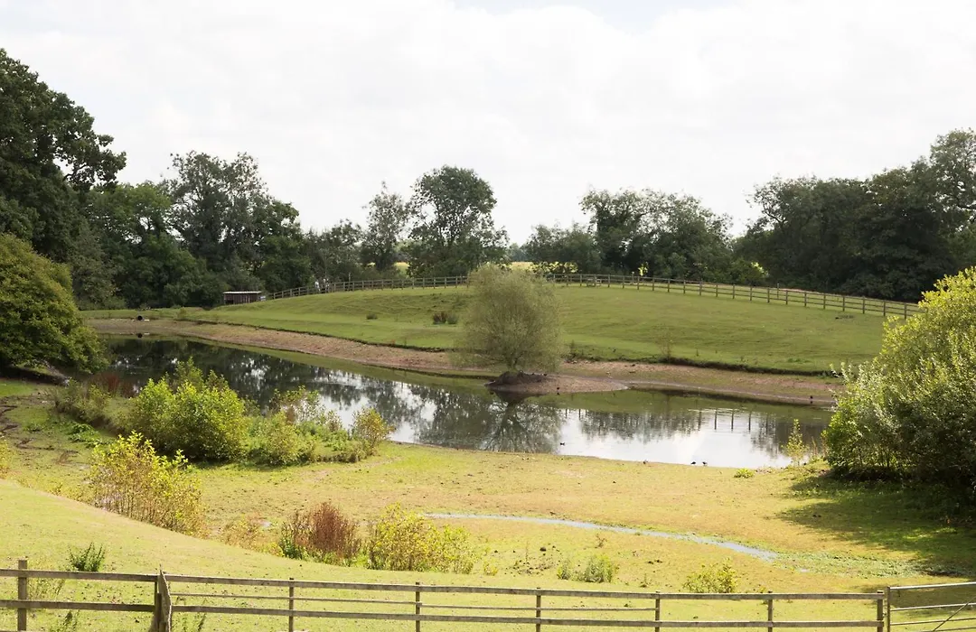 Alvanley Arms, Cotebrook-1