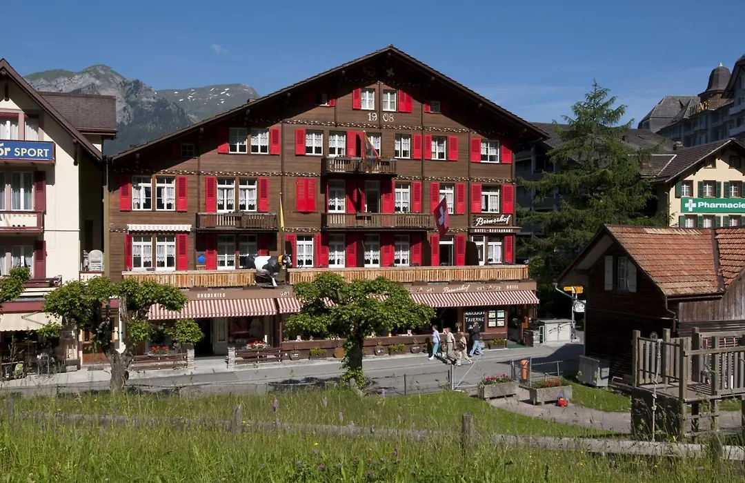 Swiss Lodge Hotel Bernerhof-1