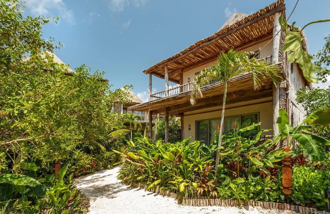Hotel Shibari - Restaurant & Cenote Club-1