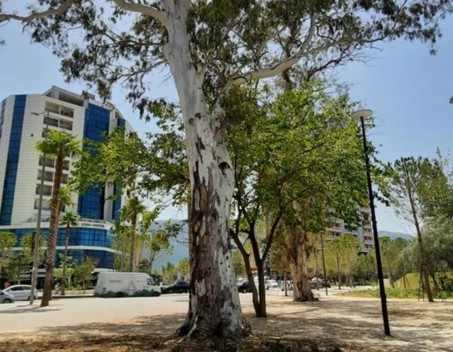 Solea Hotel-1