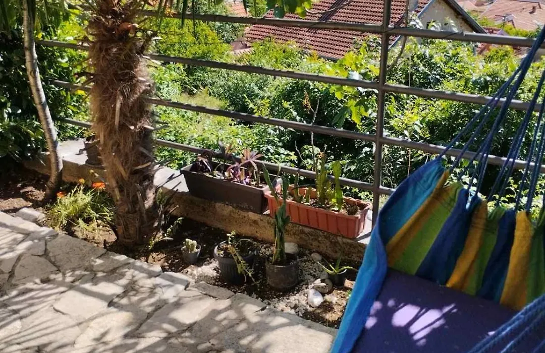 Guesthouse Panorama-1