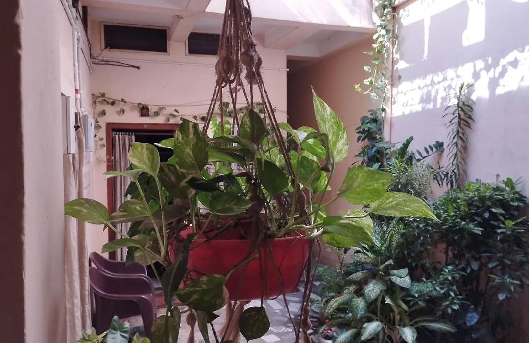 Divine View - Ac Room For 2 Pax - Swarna Bhavan-1