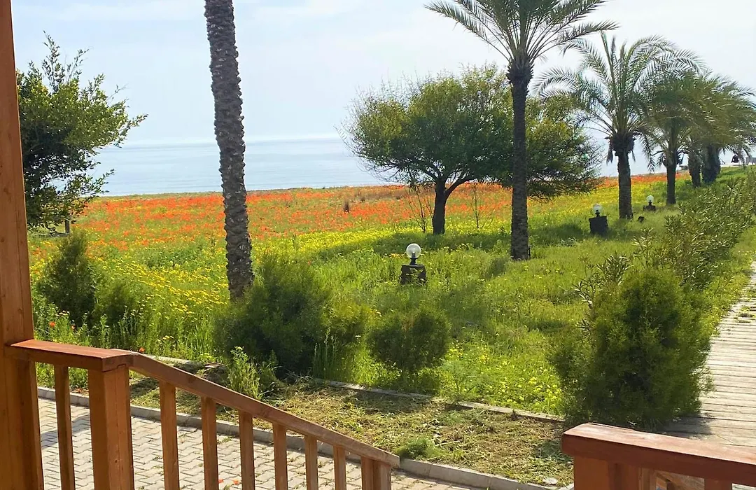 Paradise Karpaz Hotel & Restaurant-1