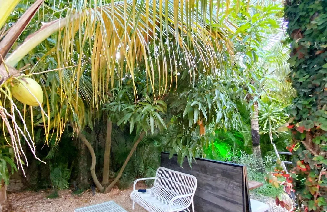 Green Oasis Hotel-1