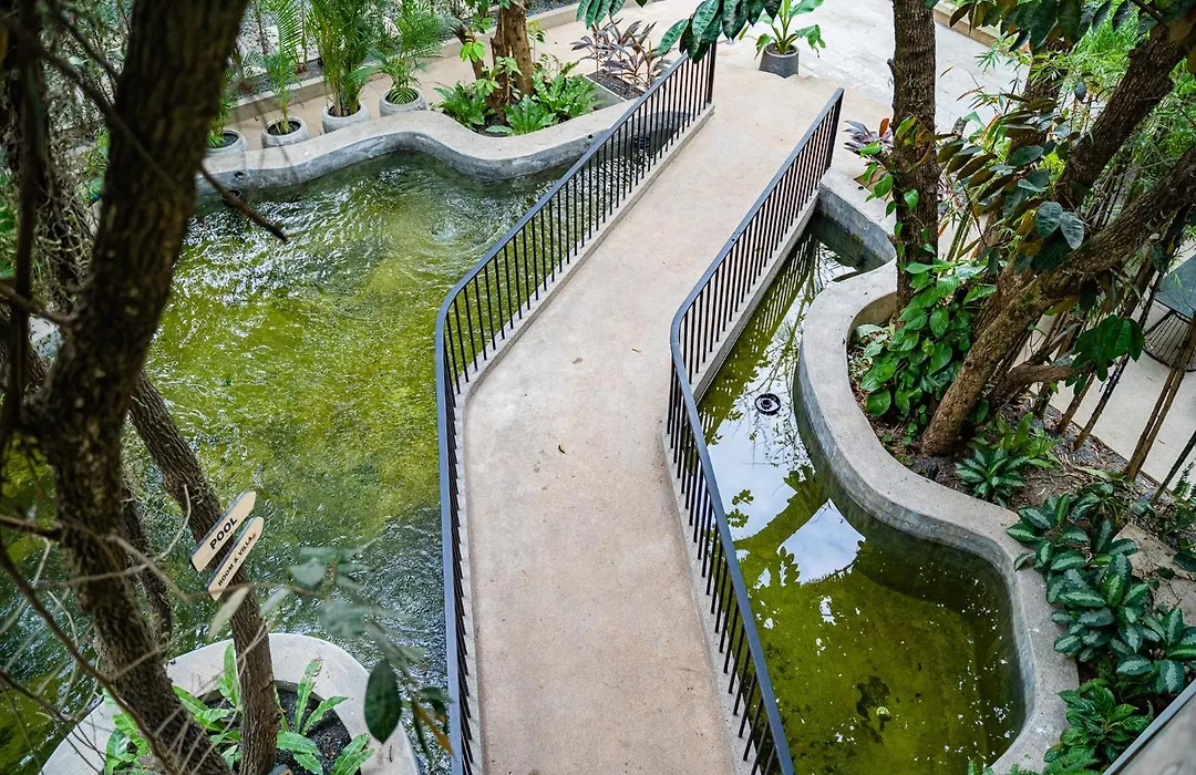 Rainforest Hotel By Nsun-1