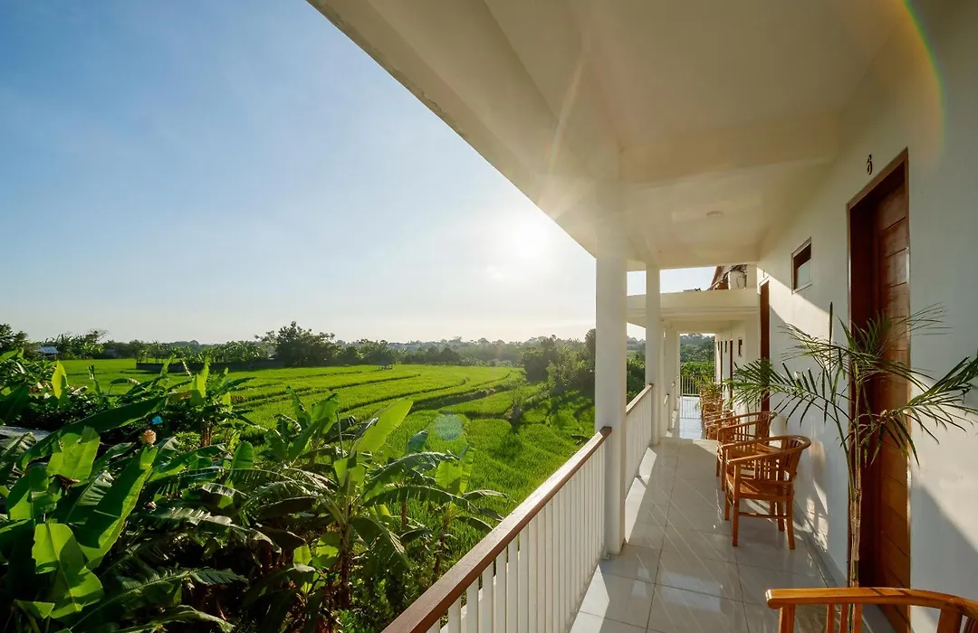 Eden Guest House Canggu-1