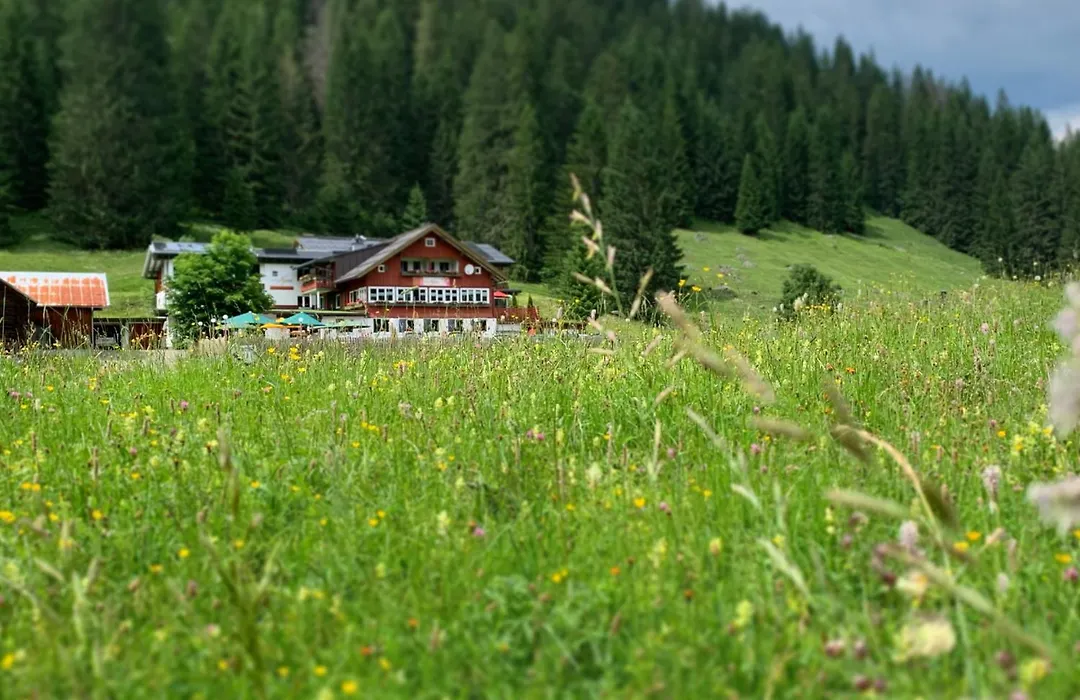 Alpenhotel DAS KÜREN-1