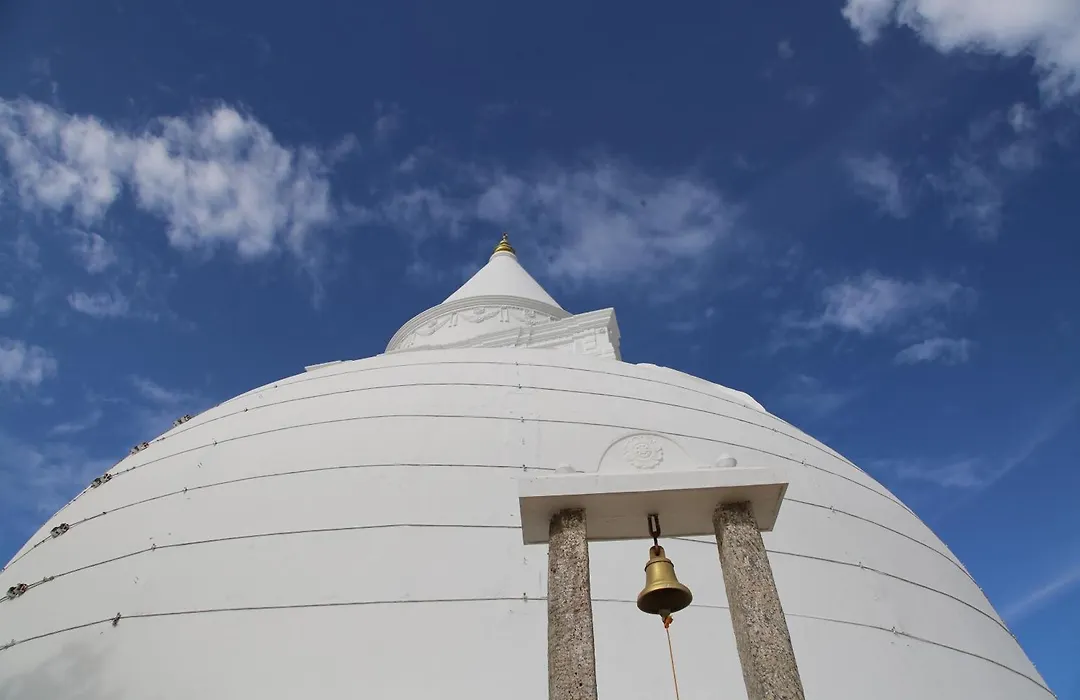The Yala City Guest House-1