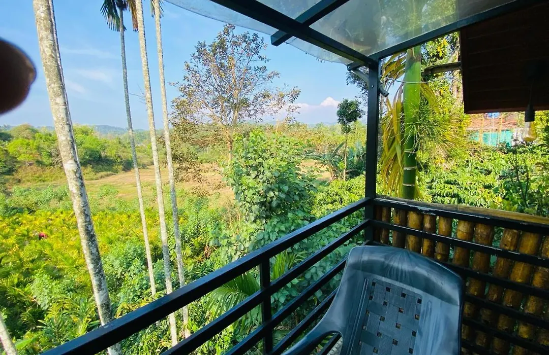 Luxury Home Stay With Pool-1