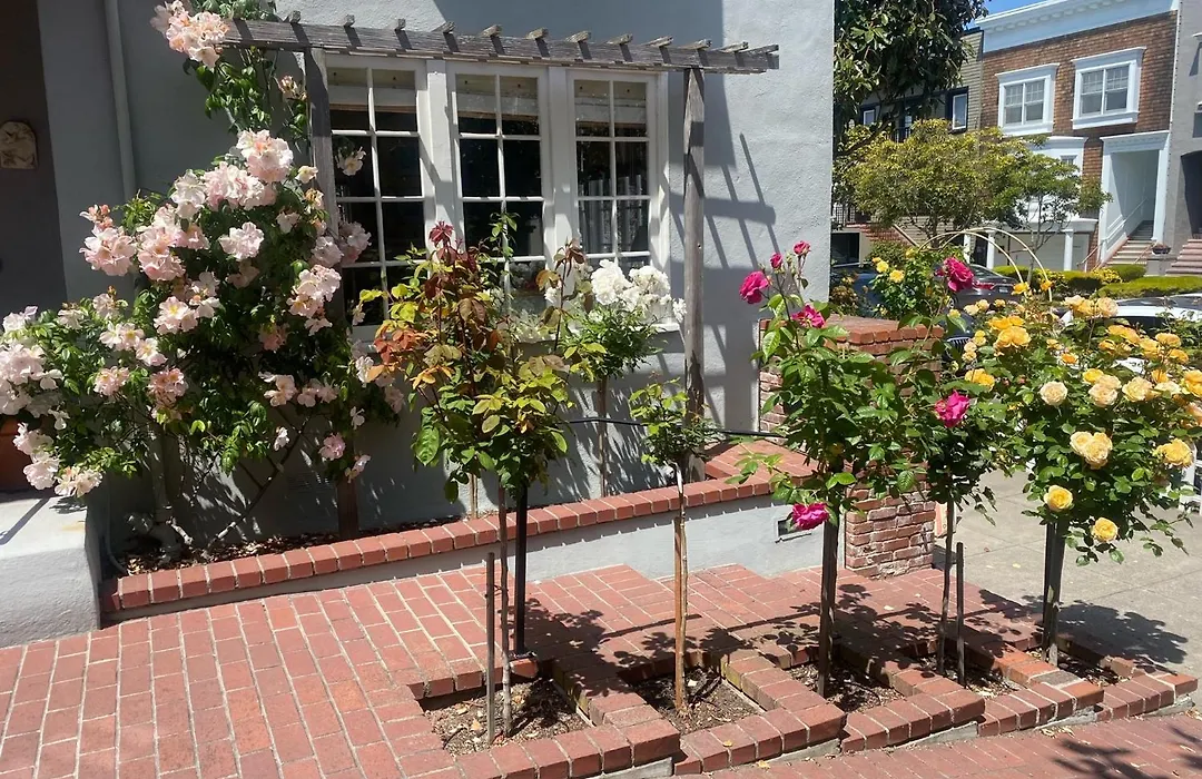 My Rosegarden Guest Rooms-1