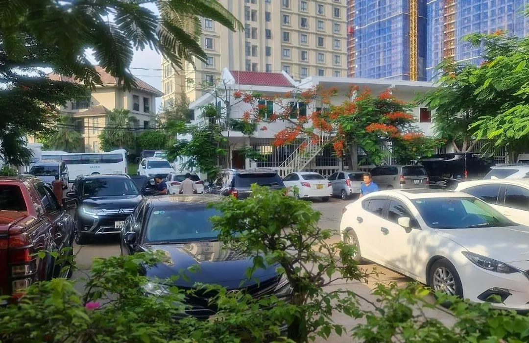 Hoa Phượng Đỏ-1