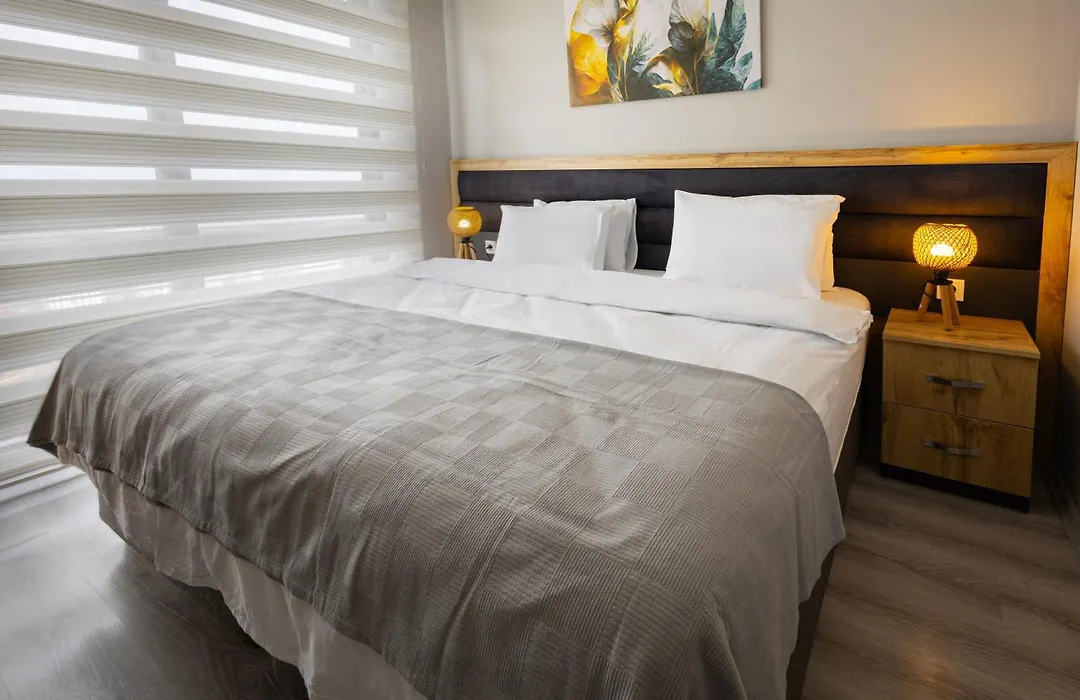 Zal Suite-1