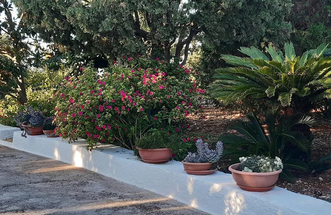 B&B Bell'Aria-1