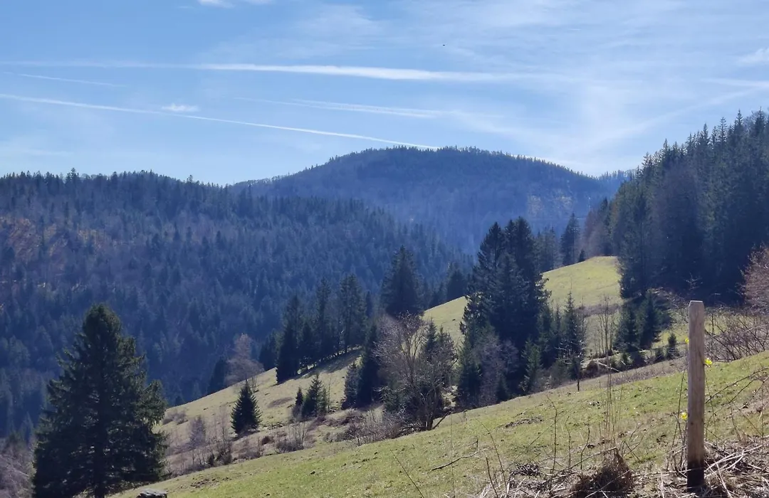 Berggasthaus Präger Böden-1