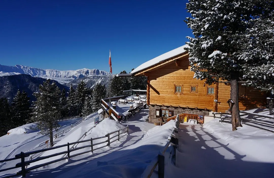 Chalet Resciesa Ortisei-1
