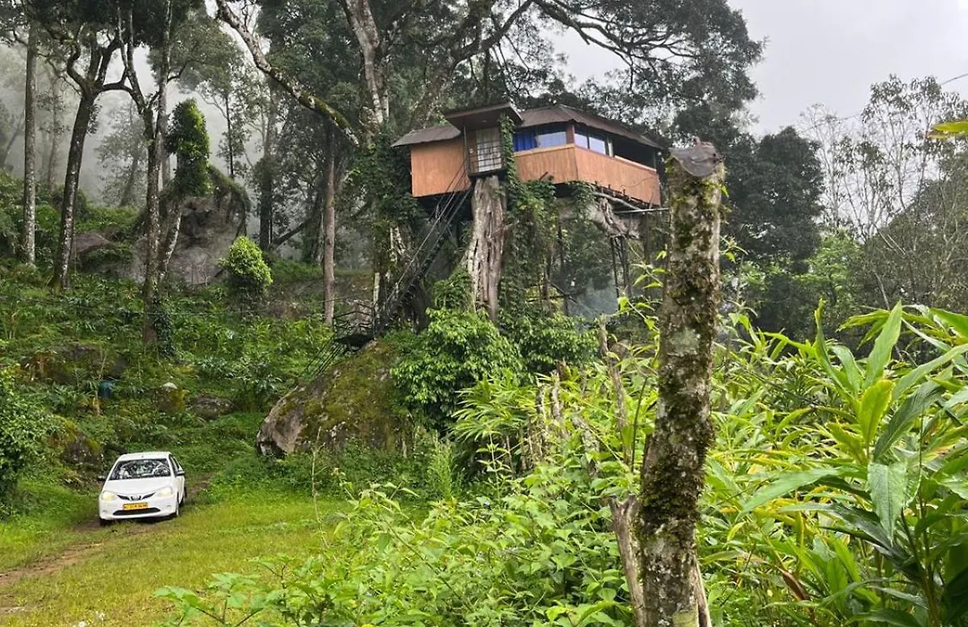 Tree House Munnar-1