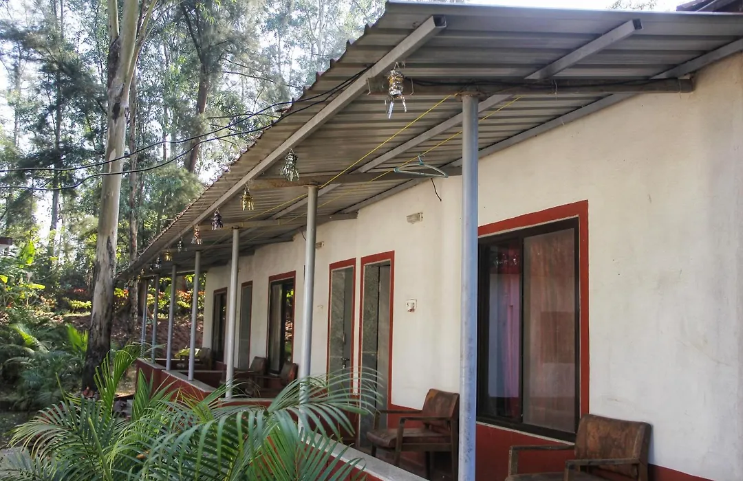The Jungle Resort Amba-1