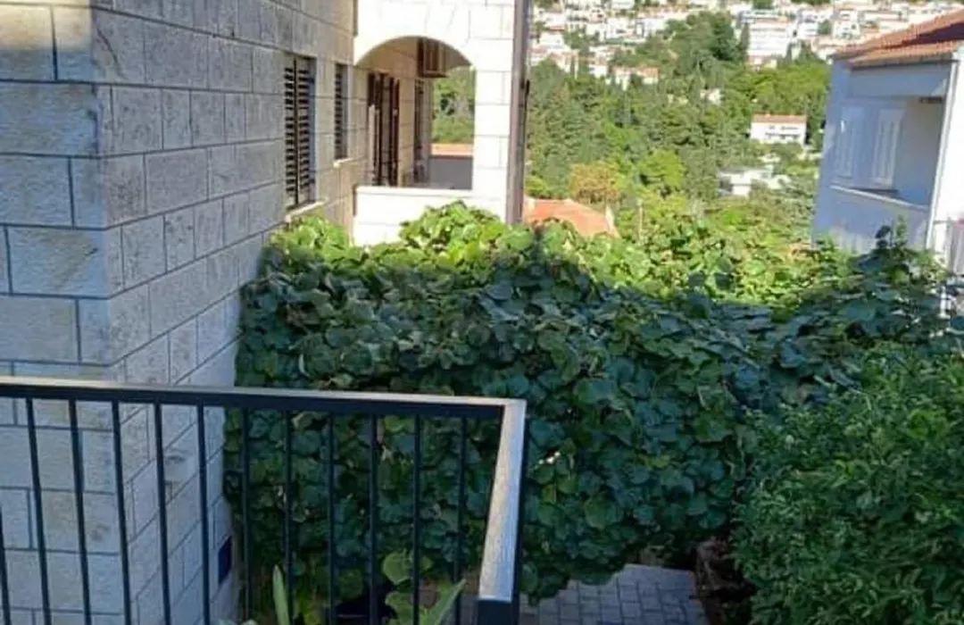 Guest House Cesic-1